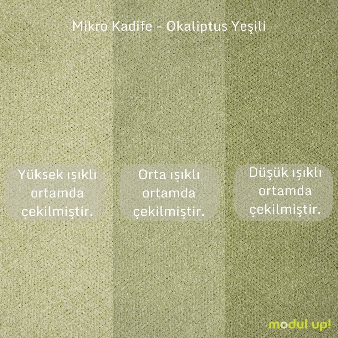 Okaliptüs Yeşili ve Orkide Beyazı 3-3-1-1 Koltuk Takımı